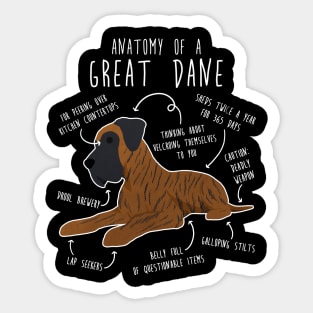 Brindle Great Dane Dog Anatomy Sticker